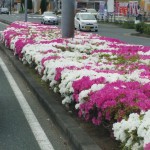 20150430_111727