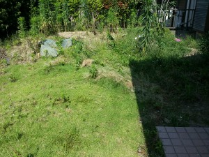 20160618_084101